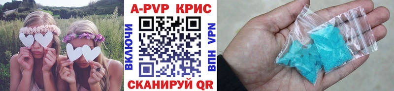 A PVP СК  Котлас 