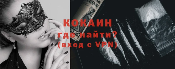 индика Нефтегорск
