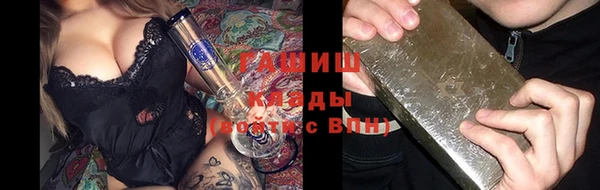 хмурый Белокуриха