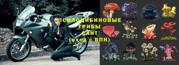 твердый Балахна