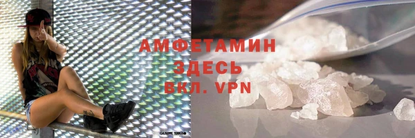 хмурый Белокуриха